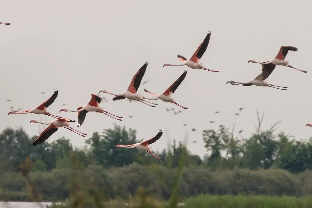 הוילה Valgrande Bibione Casone בית חווה